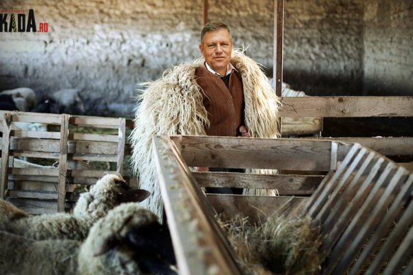 iohannis va decora oile