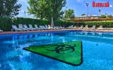 Bacilul Piocianic, supranumit bacteria care ucide