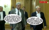 Tudose Dragnea