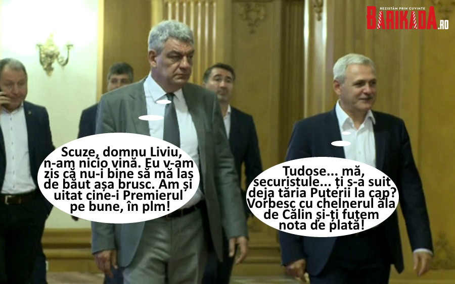 Tudose Dragnea