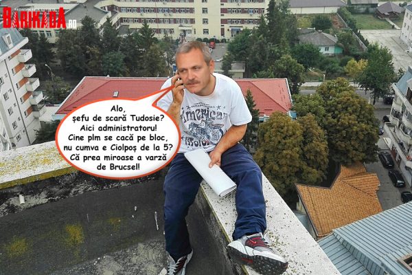 liviu dragnea statul paralel