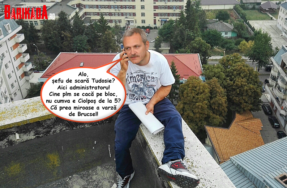 liviu dragnea statul paralel