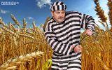 liviu dragnea