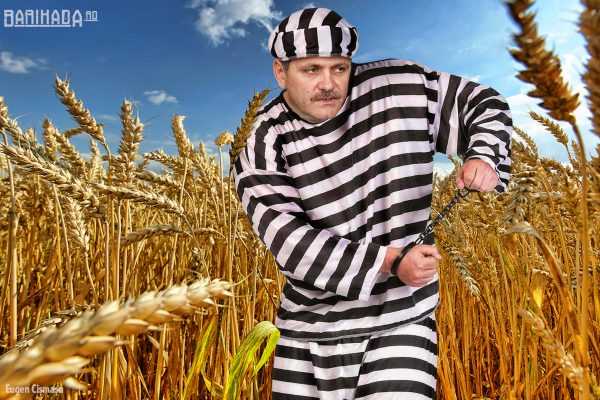 liviu dragnea