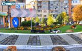 campania de ridicare a câinilor fără stăpân