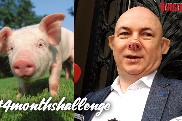codrin stefanescu porc