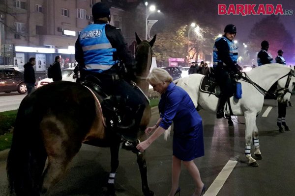 dancila animale