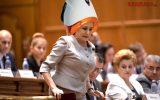dancila casca