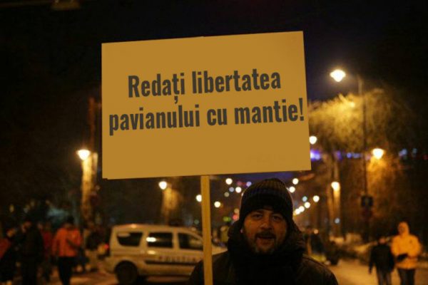 pancarta pavian