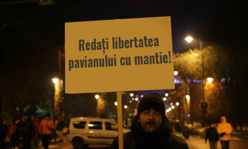 pancarta pavian