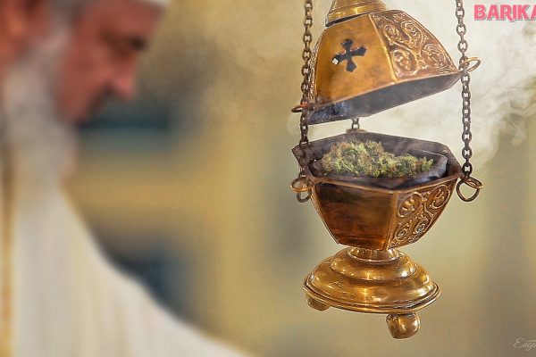 tineri arestati marijuana