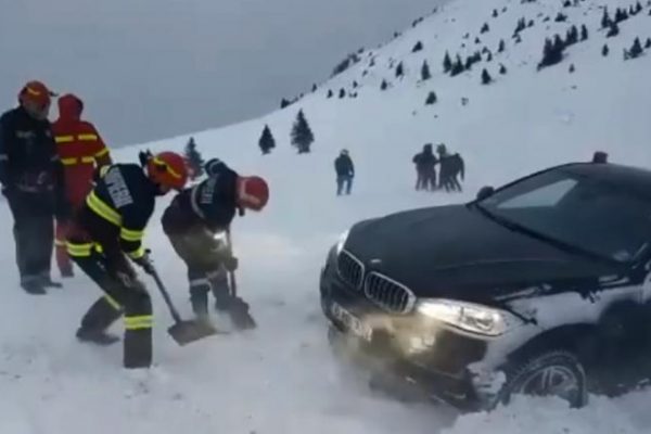 cocalar bmw inzapezit