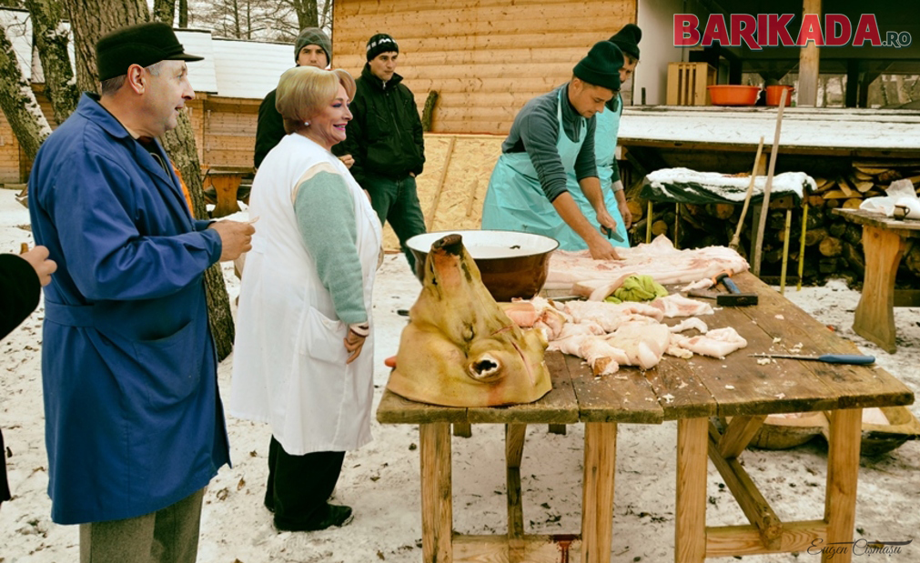 dancila pomana porcului