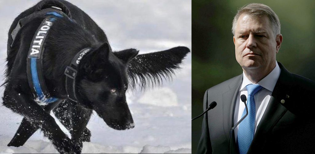 iohannis teba