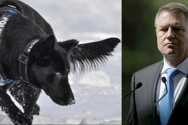 iohannis teba