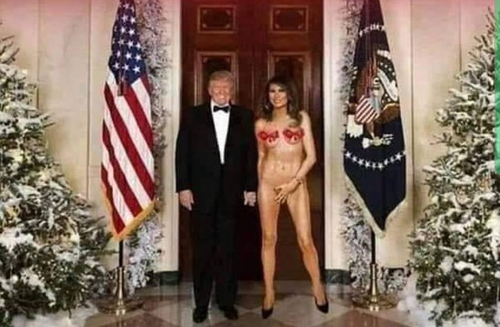 melania trump goala