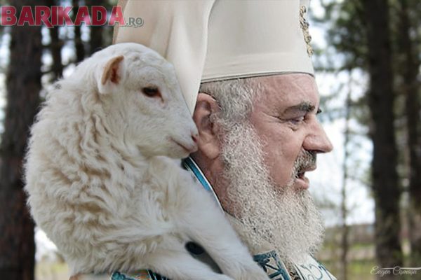 pelerinaj miel bazilica