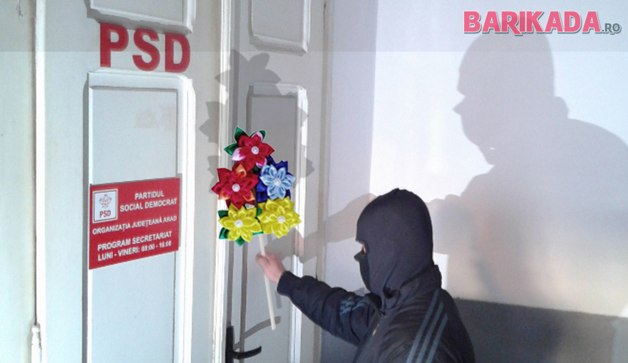 perchezitii psd arad