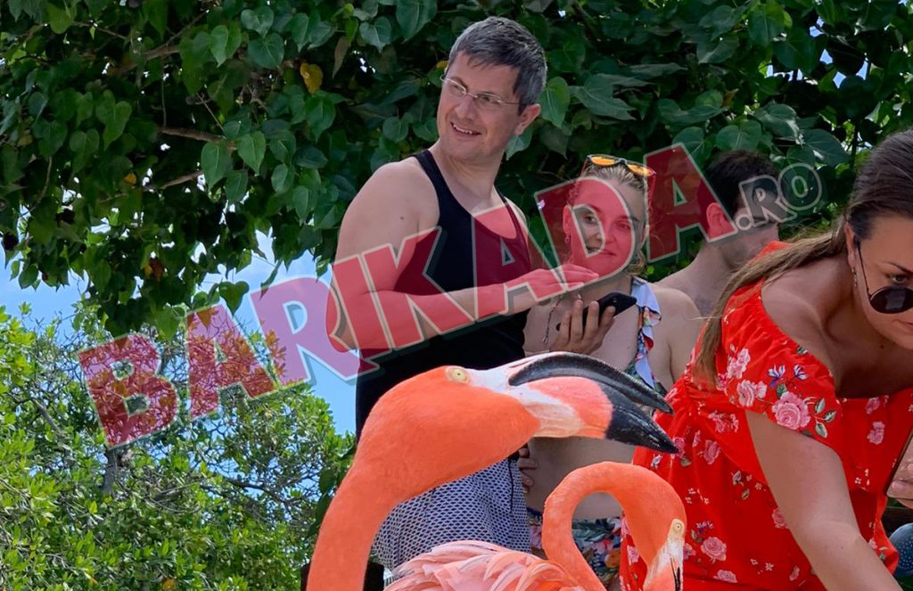 dan barna aruba