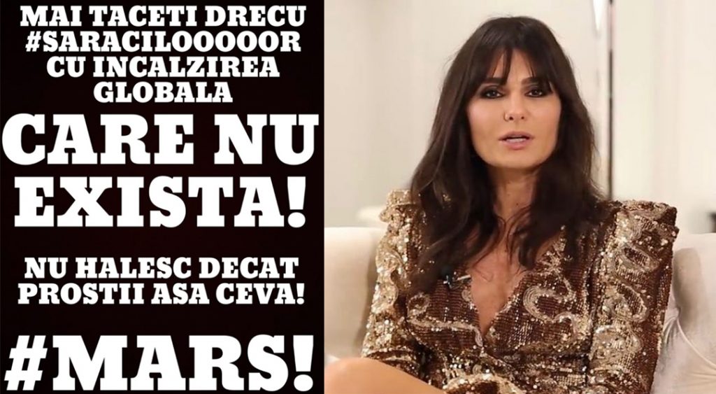 verdict dana budeanu