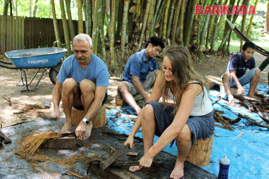 dragnea ayahuasca