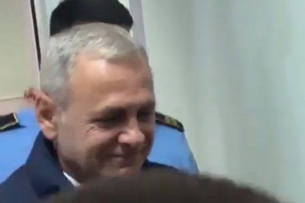 liviu dragnea liber