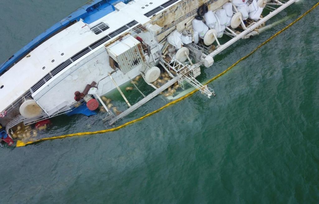 oi inecate port constanta
