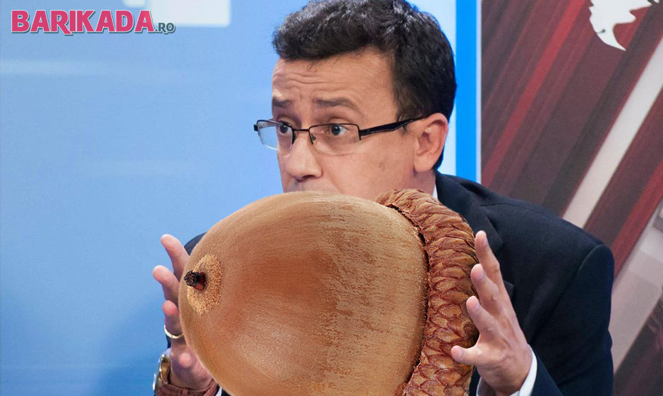 ciutacu ghinda irina rimes