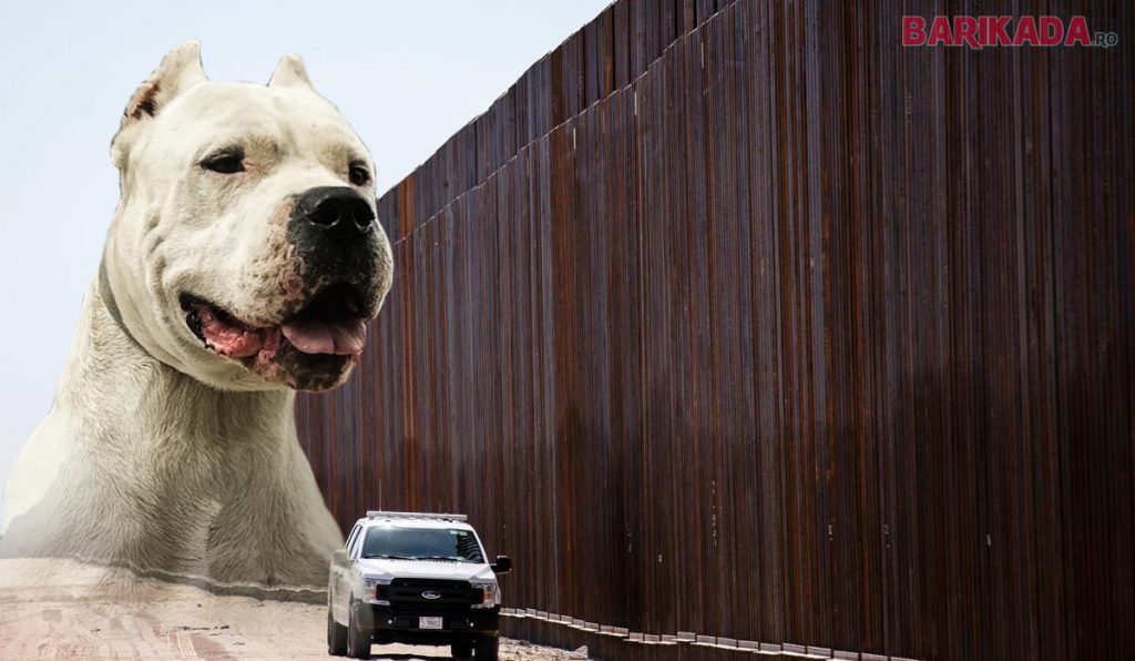frontiera mexic usa caini olteni