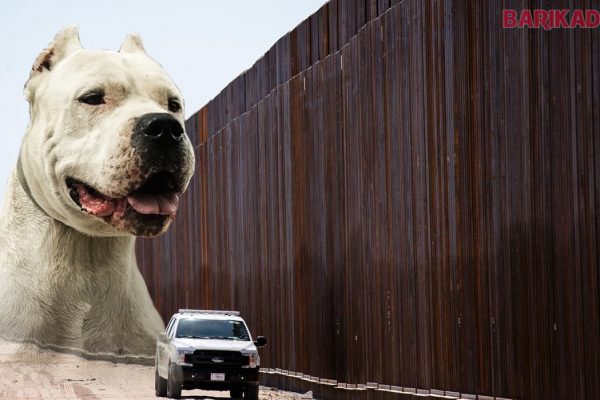 frontiera mexic usa caini olteni