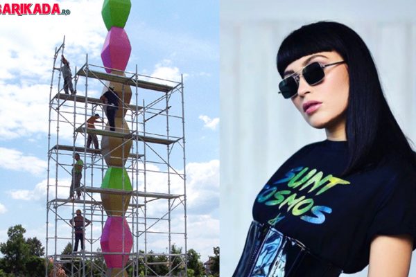 irina rimmes coloana infinitului