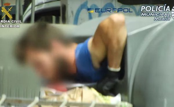 traficanti cartoane1