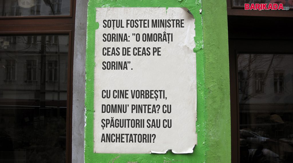 domnu pintea