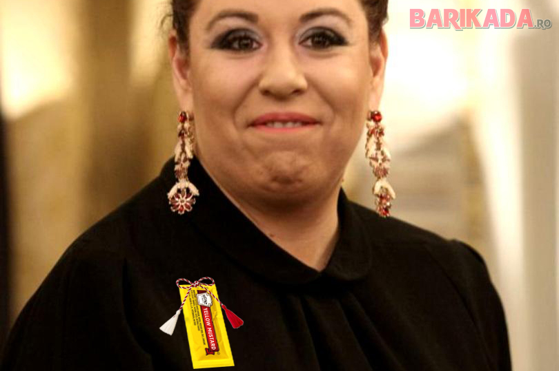 oana-roman-mustar martisor