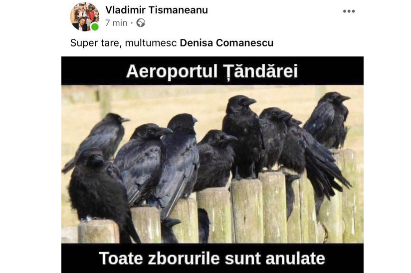 ciori tismaneanu