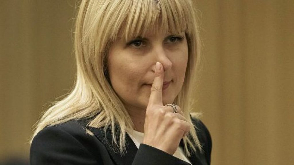 elena-udrea-gestul-la-nas