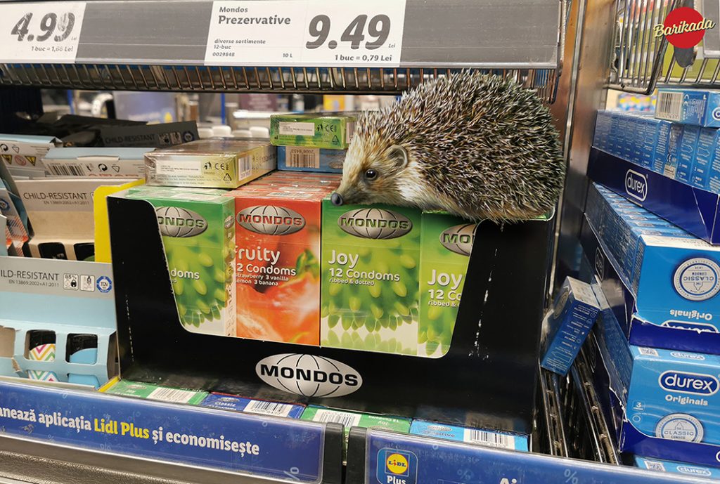 arici prezervative lidl
