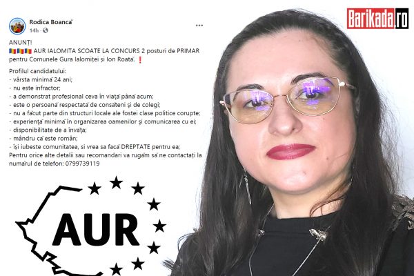 rodica boanca primari concurs