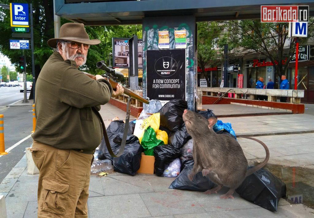 tiriac vanatoare sobolani sectorul 1