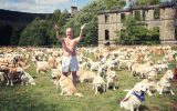 codrin stefanescu mega petrecere manelisti