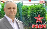 socialist dodon marijuana rusia