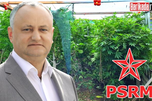 socialist dodon marijuana rusia