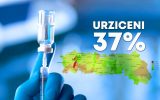 URZICENI VACCINARE PROCENT