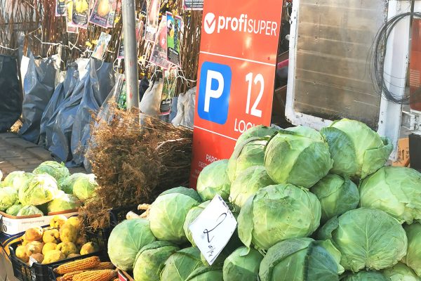taxa de smecher urziceni profi