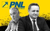 pnl excludere constantin sava